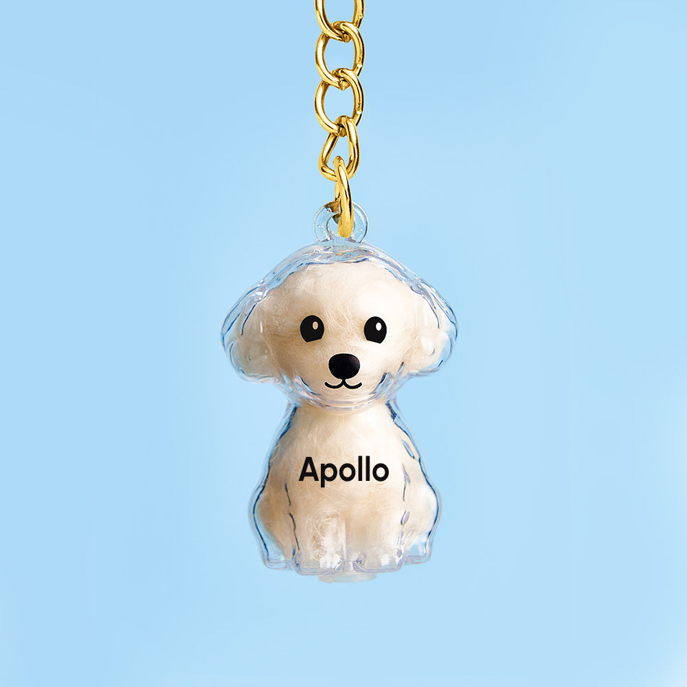 Custom Name Dog Hair Collector Keychain Bag Charm Memorial Storage Box with Text Perfect for Storing Pet Hair Gift for Dog Lovers