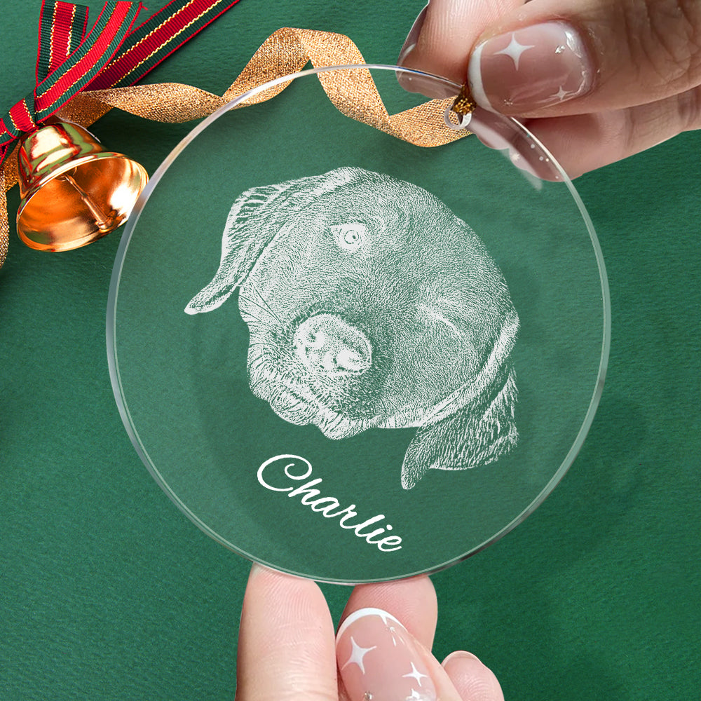 Personalized Pet Ornament Christmas Pet Face and Name Ornaments Gift for Pet Lovers