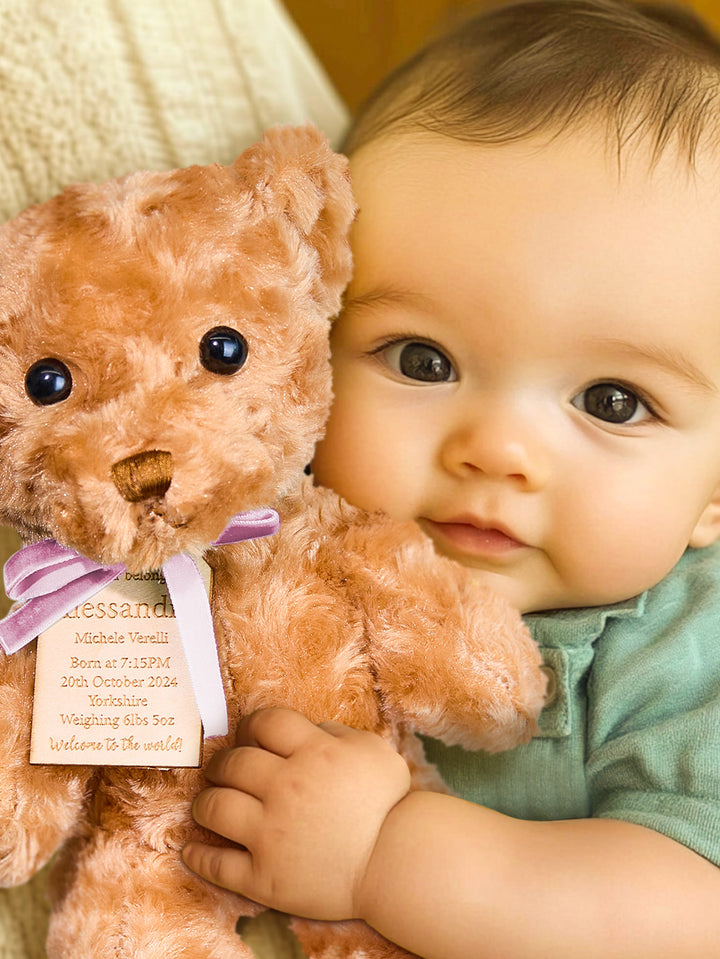 Personalized Bear Plush Birth Stats Stuffed Animal Birth Announcement Gifts