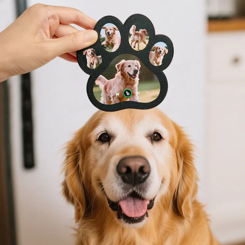 FridgeBeats Framed 4.0 Custom Music Fridge Magnet Personalized Paw Print Song Magnets That Can Play Music Anniversary Gifts Memorial Gifts