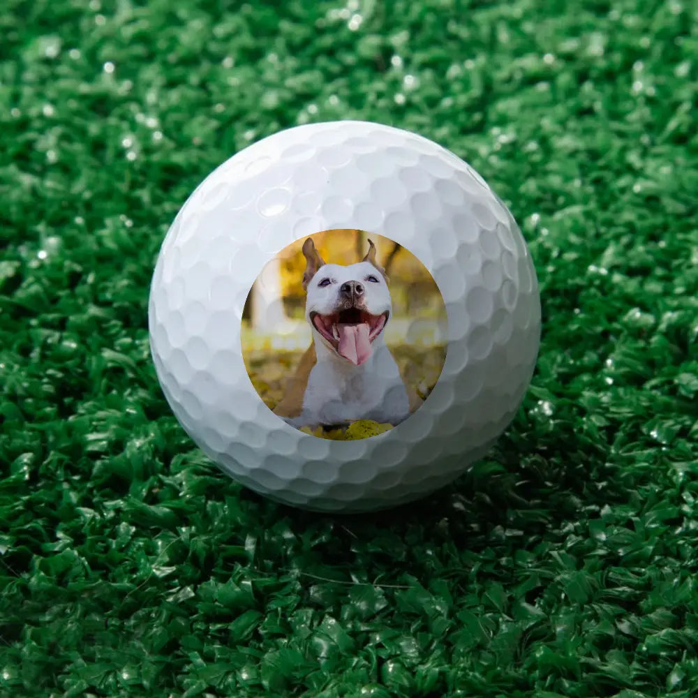 Custom Golf Ball with Picture Gift for Golf Lover