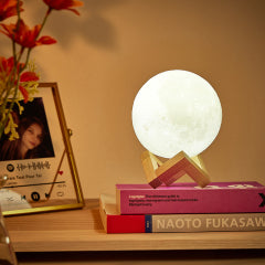 Custom 3D Printed Photo Lunar Light Moon Lamp
