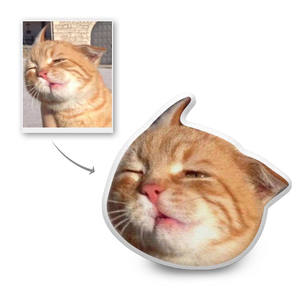 Custom Head Photo Funny Face Pillow 3D Portrait Pillow
