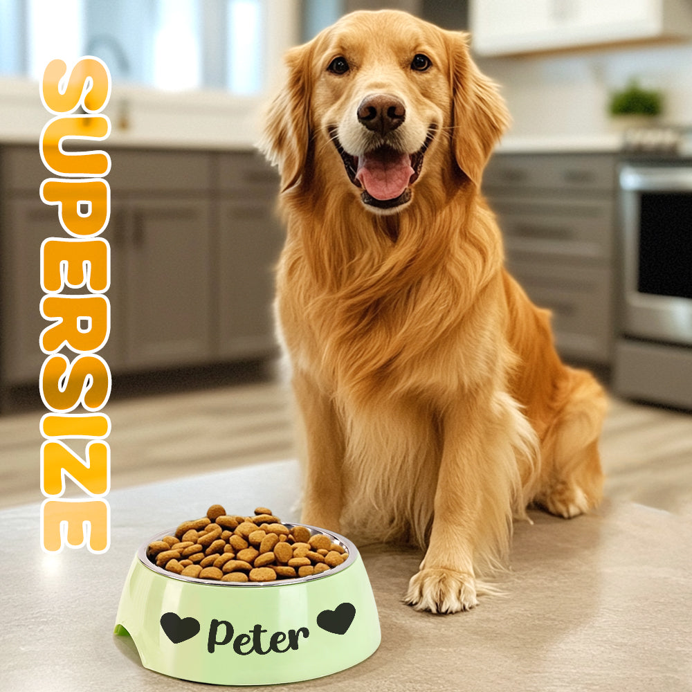 Personalized Pet Water Bowl Stainless Steel Pet Bowl Feeding Supplies Gift for Pet Lovers
