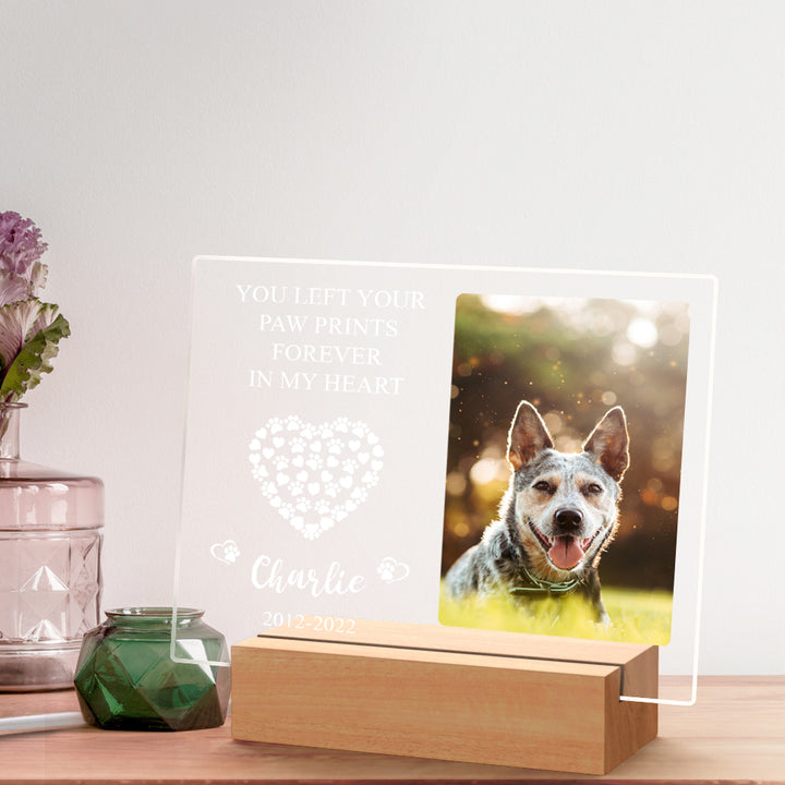 Custom Pet Memorial Night Light Personalized Bedroom Decor