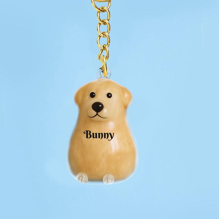 Custom Name Dog Hair Collector Keychain Bag Charm Memorial Storage Box with Text Perfect for Storing Pet Hair Gift for Dog Lovers