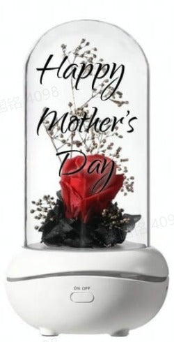 Custom Eternal Flower Aromatherapy Lamp Essential Oil Colorful Night Light