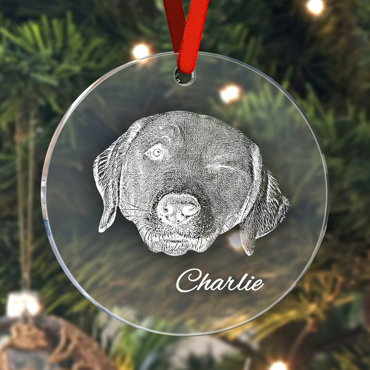 Personalized Pet Ornament Christmas Pet Face and Name Ornaments Gift for Pet Lovers