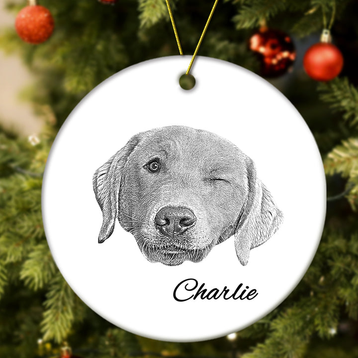 Personalized Pet Ornament Christmas Pet Face and Name Ornaments Gift for Pet Lovers