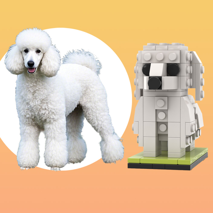 Fully Body Customizable Giant Poodle 1 Dog Photo Custom Brick Figures Small Particle Block Brick Me Figures Customized Giant Poodle Only
