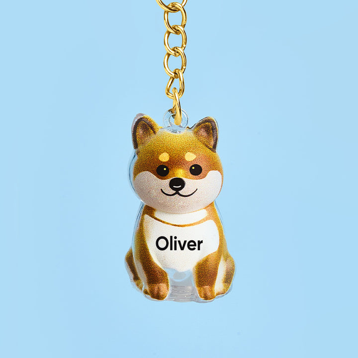 Custom Name Dog Hair Collector Keychain Bag Charm Memorial Storage Box with Text Perfect for Storing Pet Hair Gift for Dog Lovers