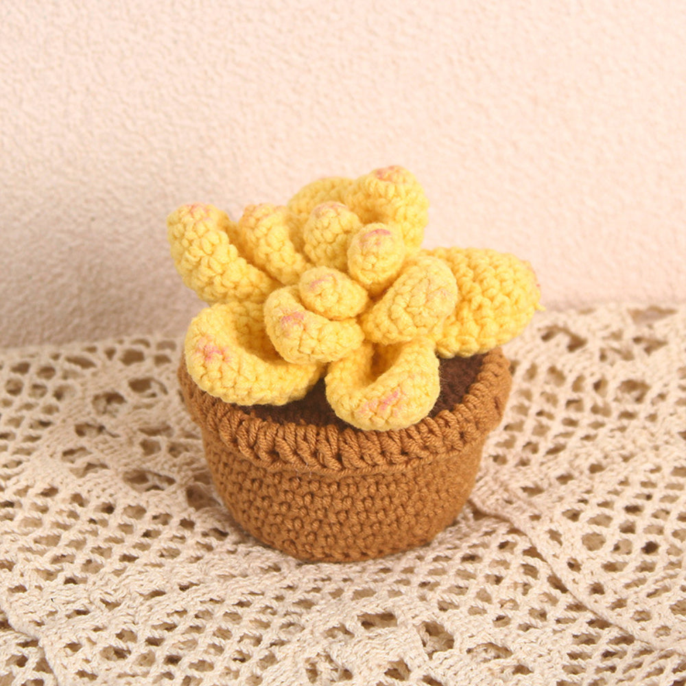 Succulent Crochet Potted Plants Completed Hand Woven Knitted Potted Plants Gift for Handicraft Lover