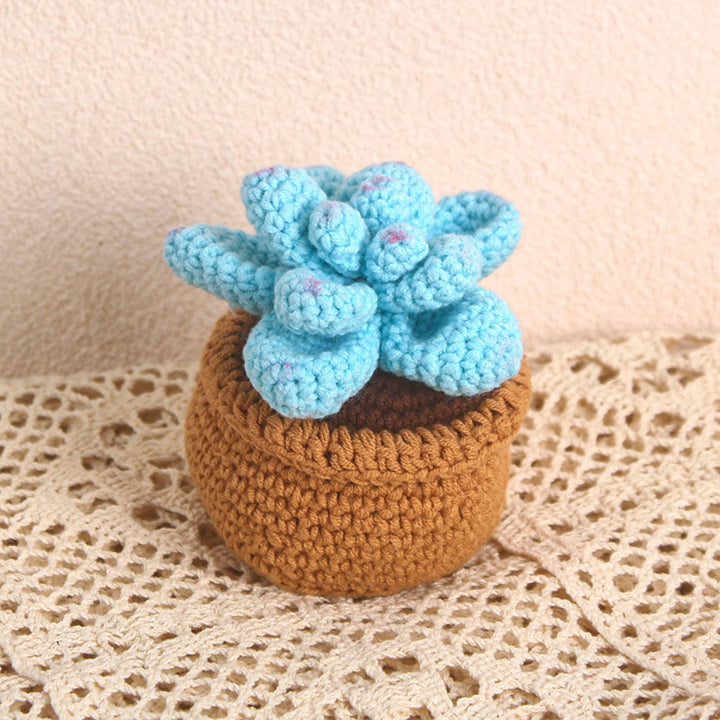 Succulent Crochet Potted Plants Completed Hand Woven Knitted Potted Plants Gift for Handicraft Lover