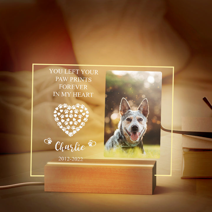 Custom Pet Memorial Night Light Personalized Bedroom Decor