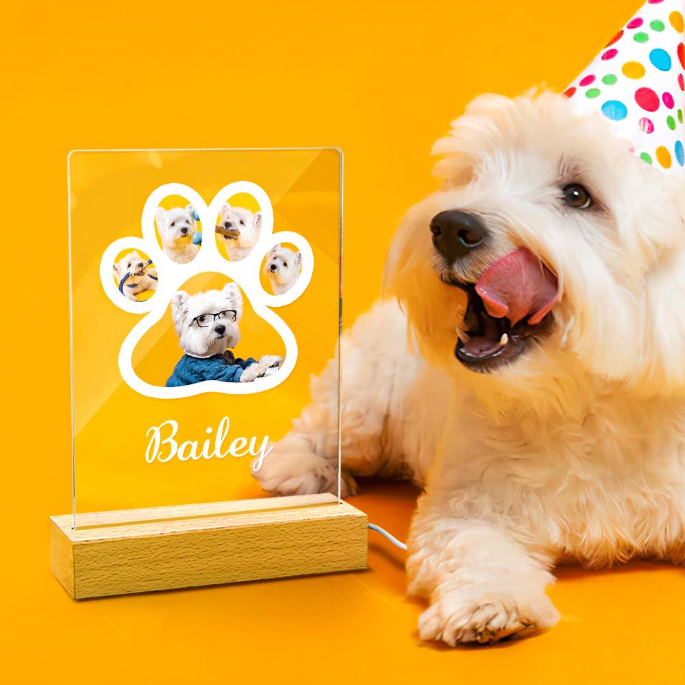 Personalized Engraved Dog Paw Photo Night Light With Name