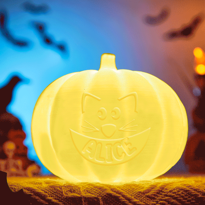 Personalized Halloween Pumpkin Light Custom Cat Light Custom Light Up Jack-o-lantern Halloween Decor