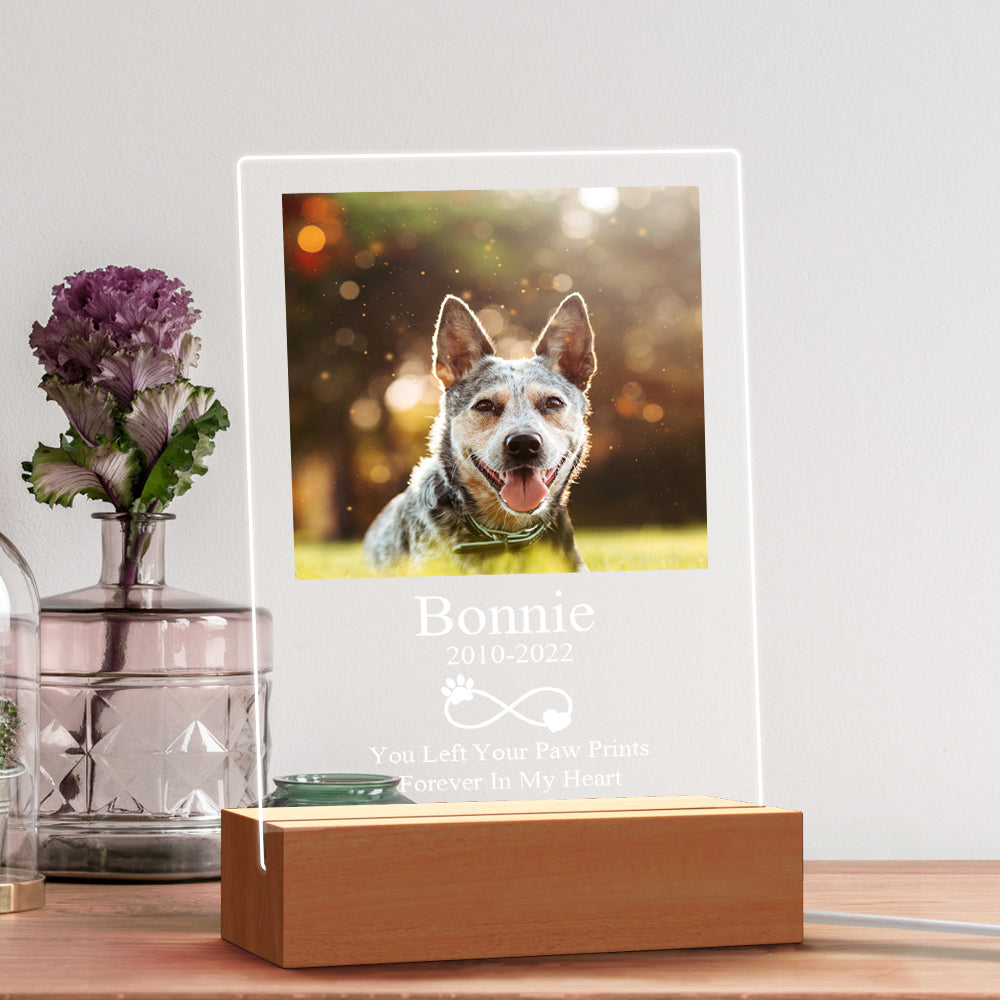 Custom Acrylic Night Light Persoanlized Pet Dog Memorial Led Lamp