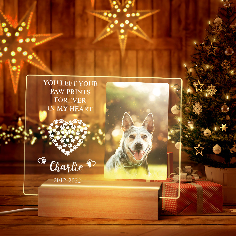 Custom Pet Memorial Night Light Personalized Bedroom Decor