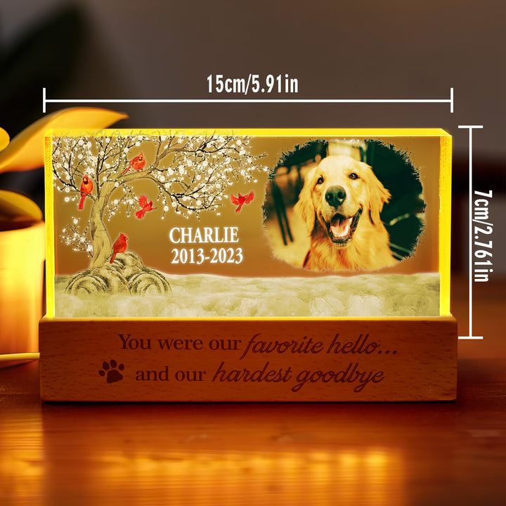 Personalized Pet Photo Night Light Custom Photo Light Memorial Gift for Pet Lover