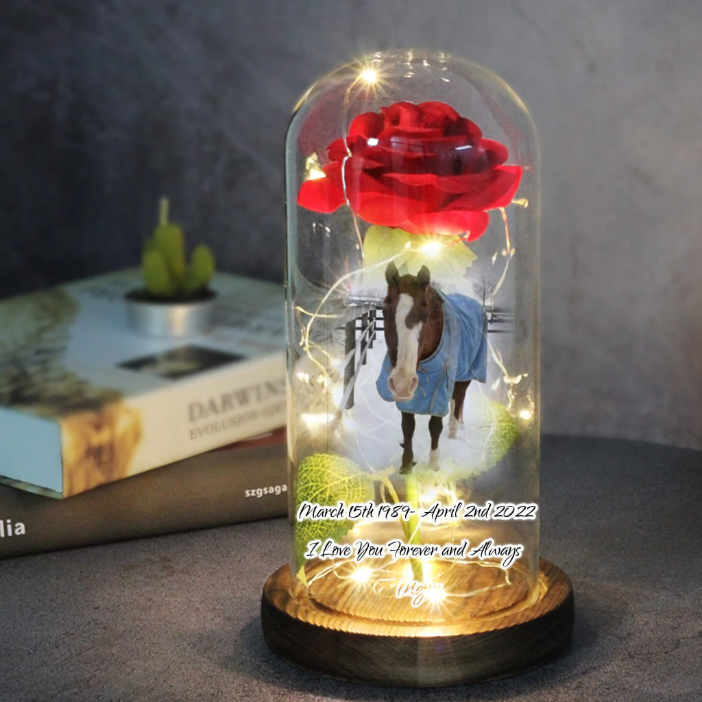 Custom Photo Text Eternal Rose Flower LED Night Light In Glass Dome