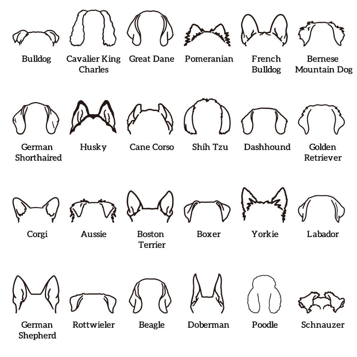 Custom Dog Ear Sweatshirt Personalized Embroider Dog Hoodie Gift for Dog Lovers