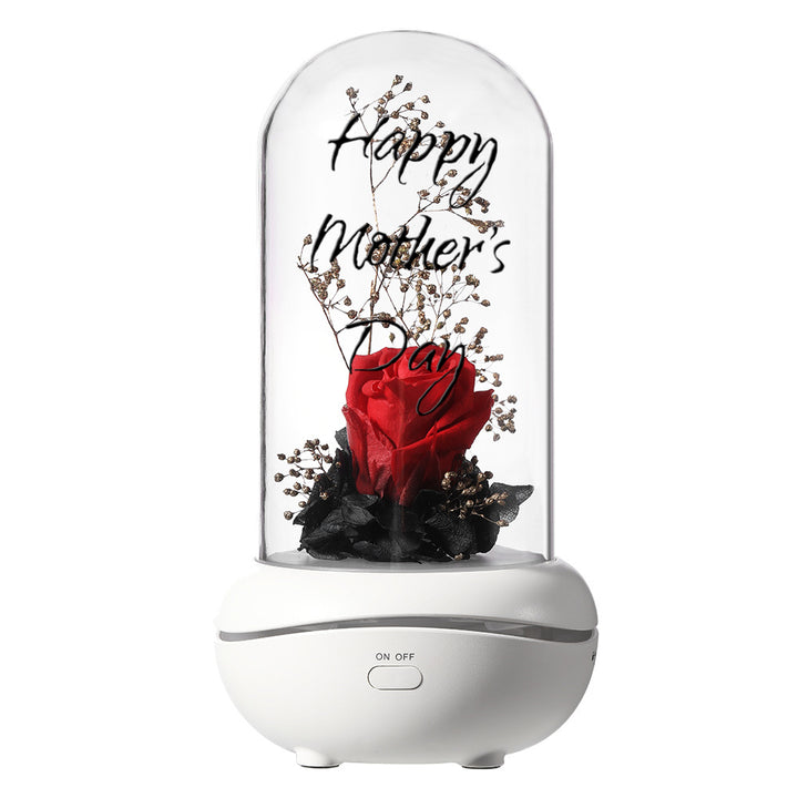 Custom Eternal Flower Aromatherapy Lamp Essential Oil Colorful Night Light