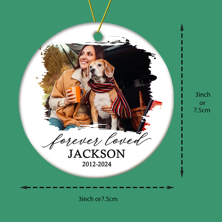Personalized Memorial Pet Ornament Christmas Ornament Christmas Gift for Pet Lovers