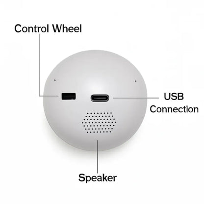 Glass Video Globe – Playable Video Gift Sphere for Valentine’s Day Birthday and Christmas