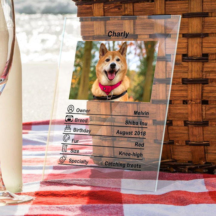 Custom Photo Acrylic Plaque Personalized Pet Information Desk Decorative Ornaments - 12*16cm